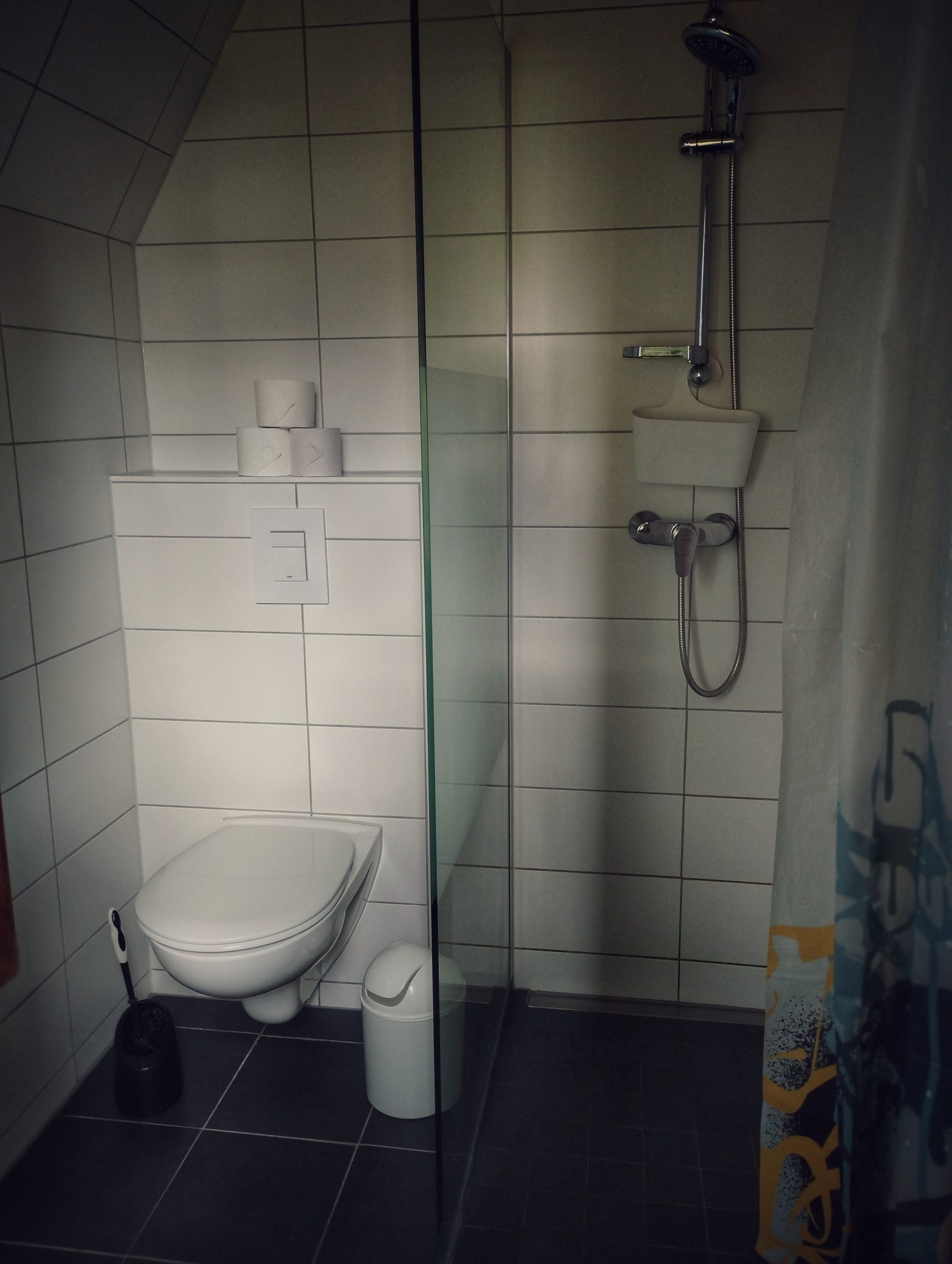 Ebenerdige Dusche mit WC